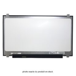 Ecran 17,3 pouces LED SLIM 1600x900 MATTE 400mm connecteur gauch 30 pins HD+ TN avec crochets