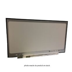 Ecran 17,3 pouces LED SLIM 1600x900 MAT connecteur gauche 30 pins HD + TN TFT