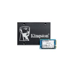 SSD Kingston mSATA KC600MS 1To