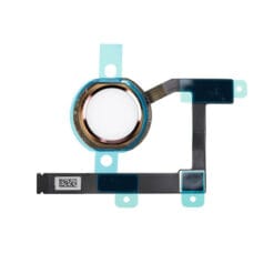 Nappe bouton home iPad mini 5 or
