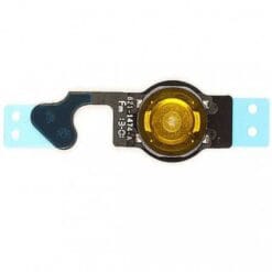 Nappe bouton home iPhone 5