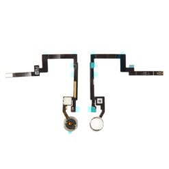 Nappe bouton home iPad mini 3 blanche