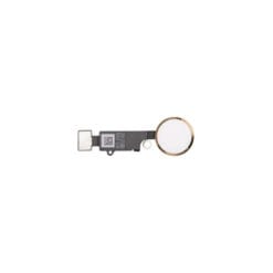 Nappe bouton Home  iPhone 7/ 7 Plus Or (FACTICE)