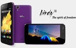 Birdy