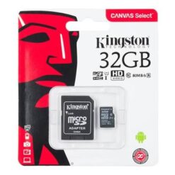 Kingston Carte SD / Micro SD 32Go